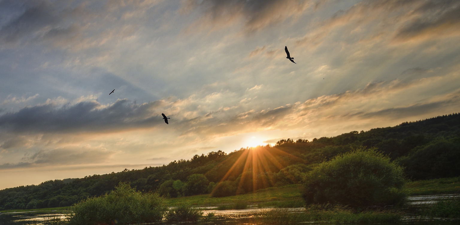 Finding Your Eagles